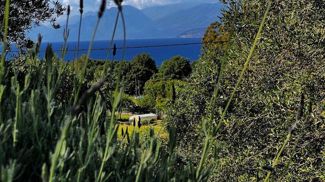 Villa Sania Кассиопи Экстерьер фото